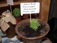 /album/feira-quinhentista-2013/a022-2-jpg/